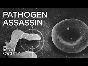 Pathogen assassin: a journey in microbiology | The Royal Society