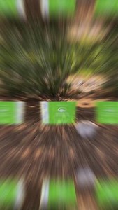 13 reactions | Take a look at this lovely vibrant xeriscape project! Our experts know how to make the beauty of nature pop. #LandscapeDesign #Landscaping #Xeriscape #RockBed #ColoradoSprings #LandscapeConstruction #LandscapeIdeas #FrontYardDesign | Timberline Landscaping | Facebook