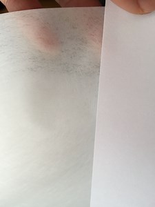 [Hot Item] Blotter Paper