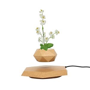 [Hot Item] Magnetic Levitation Plant Pot Floating Air Bonsai Flowerpot for Home Office Wedding Gift Decor
