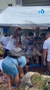 #FijiOneNews | Rotuma Day is more than just a date on the calendar it's a living celebration of language, culture, identity, and unity - a time to reconnect with roots, family, and tradition. And this year's celebration was no different, bringing people of all ages together in pride and purpose. #rotumaday #FijiNews #StayUpdated #rotuma | Fiji One News