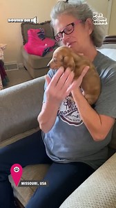 108K views · 1.1K reactions | The most amazing gift is the gift of a friend! 梁❤️ | The Pet Collective | Facebook