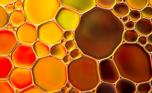 Using a Natural Pathway to Trigger the Death of Cancer Cells | Cell And Molecular Biology