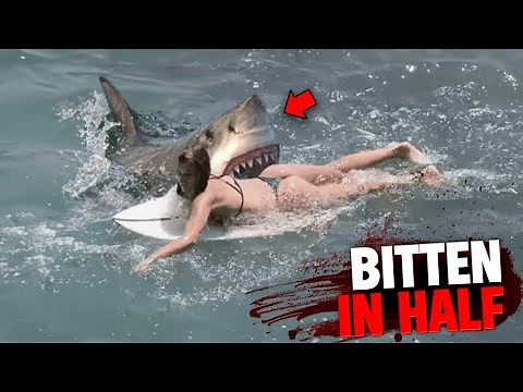 These 3 People Were BITTEN IN HALF By Sharks!