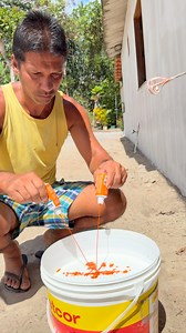 Vlog de rotina do jeitinho q vocês amam 🥰 pintei minha casa nessa cor que eu acho linda , e ainda fiz plantação direto da @arteplanpaisagismo | Lyli Santos