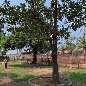 120K views · 5.2K reactions | Ship Breaking Yard, Chittagong | Adnan Musafir Vlogs | Facebook