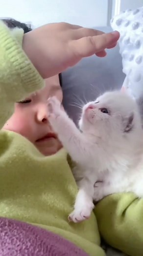 Cute baby and cat#fyp #foryou #bayitiktok #bayilucu #gemoy #healing #cutebaby #TikTokImpact #kiddo_park