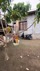 Tulung... tuluung... #beritaviral #beritatiktok #radarkarawang | Funny Videos