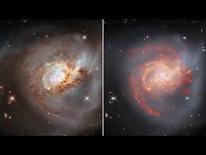 Galaxy NGC 3256 in Vela | Hubble & Webb Space Telescope Views FriendsofNASA.org: The peculiar galaxy NGC 3256 takes center stage in the two images featured in this video. This distorted galaxy is the wreckage of a head-on collision between two spiral galaxies which likely occurred 500 million years ago, and it is studded with clumps of young stars which were formed as gas and dust from the two galaxies collided. The first image contains data from the NASA/European Space Agency Hubble Space Teles