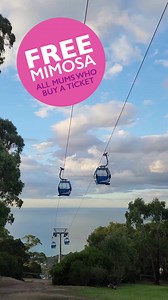 Make Mothers Day Memorable at the Arthurs Seat Eagle 🫶 Join us at the Eagle and let US spoil Mum this year, with FREE Mimosas for all Mums who ride on Mothers Day! No bookings necessary - simply purchase a regular ticket online, or walk up at the ticket booth, and on Sunday 14 May we will present Mum with her free Mimosa at the Eagle Cafe🥂 We also have a perfect upgrade package available this year. Mum will receive a beautiful Australian natives posy, and handcrafted chocolates from local lege