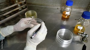 Micro biologist science laboratory with scientist developing medicine, biochemist working petri dish during biochemical analysis of experimental. microbiology Research analyzes and experiments.