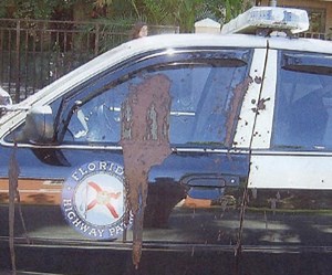 ​ Florida State trooper hated by cops for pulling over Miami cop doing 120mph finds her cruiser covered in human feces