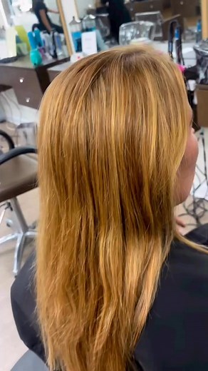 👀Watch this transformation by Hair Artist @_sarascissorhands 🤎 a Brunette in bloom🌻🌻 @lightenupsalonandspa reverse balayage to bring us from all over blonde to a rich chocolatey blended color. @wellahair blondorplex always for lightening and @redken color. Sent this beauty home with @lorealpro absolut repair conditioning mask at her last appointment and it’s been keeping her hair healthy and strong between processes. 📲 Book Now Online or Call 973-448-9296#njhairstylist #reversebalayage #red