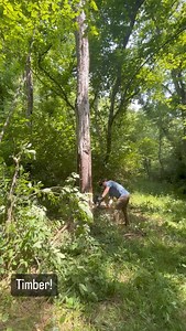 Mark Batterson on Reels