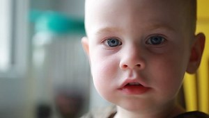 Child Eats Mango Fork Plate: vídeo stock (100% livre de direitos) 27834841 | Shutterstock