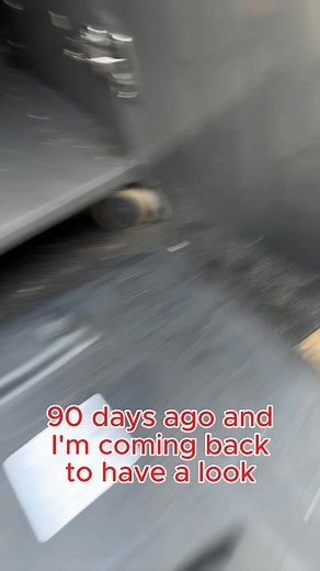 How to get rid of mice in the barbecue? | Summit Pest Control