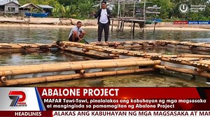 MAFAR Tawi-Tawi, pinalalakas ang kabuhayan ng mga magsasaka at mangingisda sa pamamagitan ng Abalone Project | Bangsamoro Information Office | Facebook