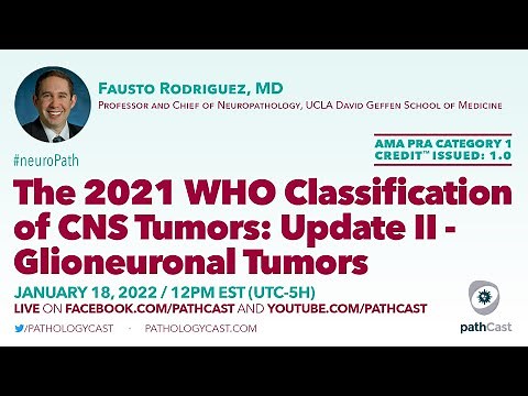 The 2021 WHO Classification of CNS Tumors: Update II - Glioneuronal Tumors