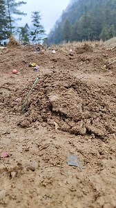 Ep14: Firecracker play! . . . #ReelViral #FacebookReel #ViralVideo #Videos #ASMR #firecrackers #firecracker #firecrackerPlay #FirecrackerRoll #firecrackerworks #firecrackernation #Firecrackerchallenge #FireCrackerTesting #FireCrackerBlow | Prim Share