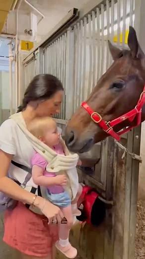 MCDONALD FAMILY PHOTO 📸 Katie McDonald and daughter Evie snuggle up with ROMANTIC WARRIOR ahead of today’s G1 Hong Kong Cup 🥰🥰 🎥 RacingKingHK | World Horse Racing