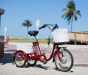 [Hot Item] 250W Small Size Cheap Electric Trikes for Adults