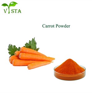 [Hot Item] ISO Certified Pure Natral Water Soluble Food Additive Dehydrated Carrot Powder