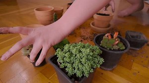 Nahaufnahme Video von Frauen Hände arrangieren: Stockvideos & Filmmaterial (100 % lizenzfrei) 3883570347 | Shutterstock