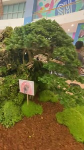 Miniature forests in the palm of your hand. 🌳🖐️ #bonsai #nature #trees | Japan Bonsai