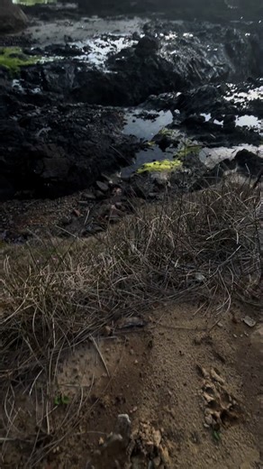 Women's Scenic Peeing: Challenging Norms