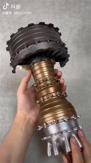 6.5K views · 63 reactions |  | Encyclopedia of Science | Facebook