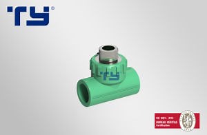 [Hot Item] PPR/Plastic Hot/Cold Water Pipe Fittings Male Tee Offer Firm