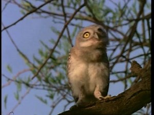 When Taylor Swift comes on the radio and your mom changes the station :( | Seventeen