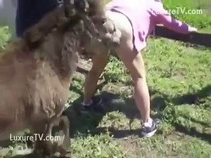 Slut Fuck Hard by Horse Screaming