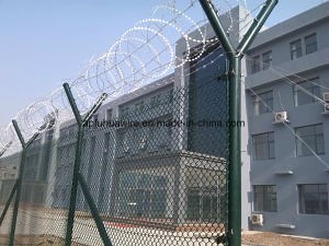 [Hot Item] Green Colour Chain Link Wire Mesh Fence