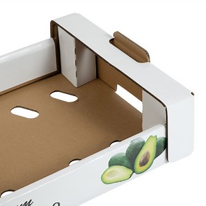 [Hot Item] Cmyk Offset Printing Avocado Double Tile Load Bearing 5/10kg Fruit Box