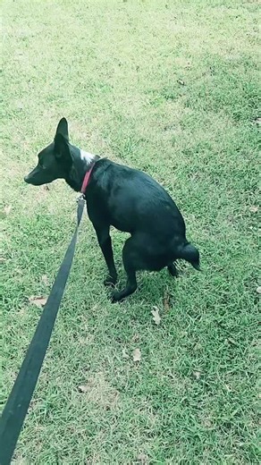 Preventing Styes in Your Eyes: A Comprehensive Guide