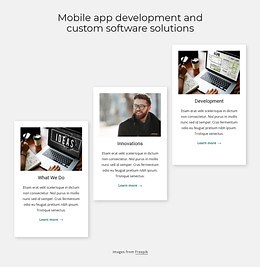 Custom software solutions - Web Page Design by Nicepage
