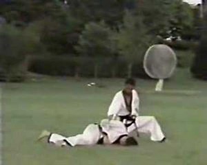 Hapkido IHF Hoshinsul