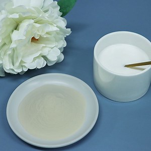 [Hot Item] Halal Nutritional Mct Oil Powder From Coconut