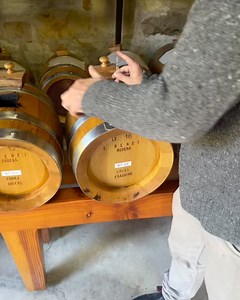 1.4K views | Mickey Avalon on Reels | Facebook