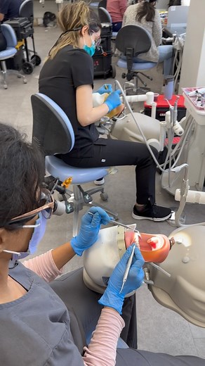 Dentists from around the 🌎 practice at our Labs to prepare for their #ndeb License Exam. Prep Doctors is the place to complete your dental equivalency process and work as Dentists in Canada 🇨🇦 #canada #dentist #dentistry #dentaltraining #dentalstudent #equivalency #internationaldentist | Prep Doctors