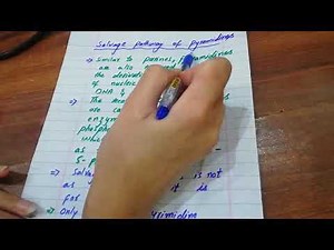 Salvage Pathway of Pyrmidines