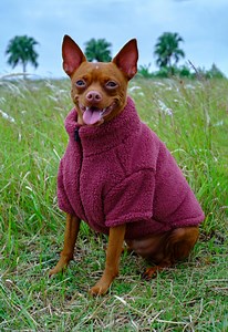 Dark Pink Faux Fleece Pet Sweater With Zip-up Collar & Double-layer Thickness for Warmth. Free Size Customization Available. - Etsy