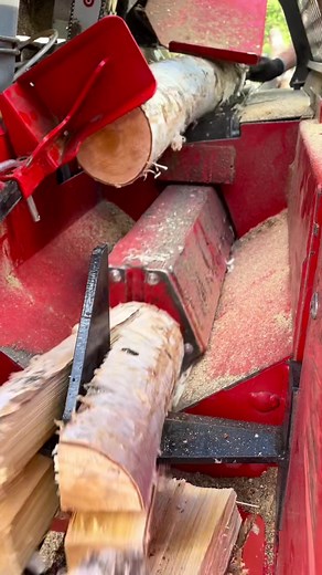 Japa Firewood Processors on TikTok