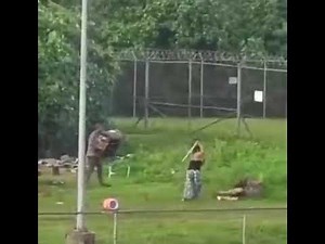 chuukese homeless fighting