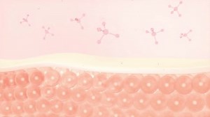 Anatomy 3d Organs Human Body Education Stock Footage Video (100% Royalty-free) 3455264621 | Shutterstock