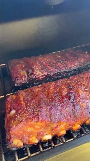 Smoking Pork Ribs on the Lake 🌊 Trek Prime 2.0 #ribs #porkribs #lakeside #pelletgrill