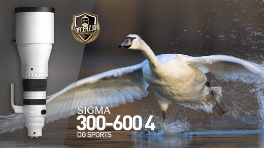 2.4K views · 17 reactions | Sigma 300-600mm f/4 DG OS Sports lens for Sony E-mount tested on the Nikon Z9 camera: https://nikonrumors.com/2025/03/22/sigma-300-600mm-f-4-dg-os-sports-lens-for-sony-e-mount-tested-on-the-nikon-z9-camera.aspx/ | Photo Rumors | Facebook