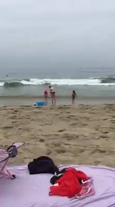 Katherine The Brave on Reels