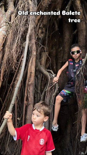 #siquijor #oldechantedbaletetreesiquijor #halffilipinokids | Romar Dela Cruz Gabagat